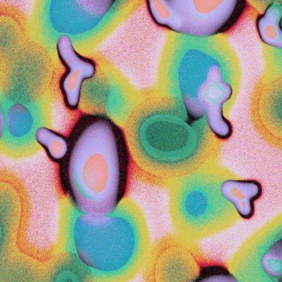 Meet your Posher, Noey - Picture 1 of 1